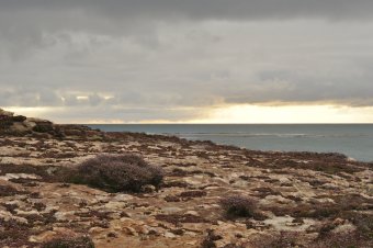 Robe Resort - Coastline near Glass Beach