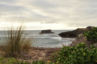 Robe Resort - Doorway Rock through Native Vegetation